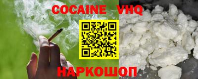 дмт Гай