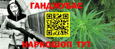 дмт Гай