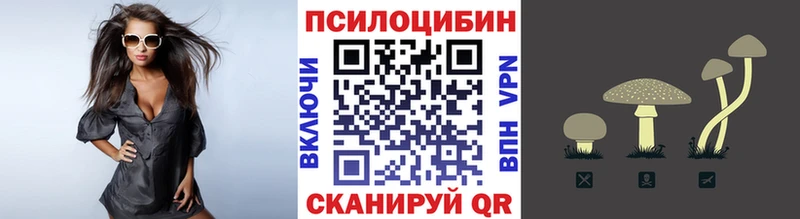 где купить наркоту  Холмск  mega ССЫЛКА  Псилоцибиновые грибы GOLDEN TEACHER 
