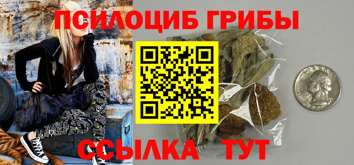 Холмск  Псилоцибиновые грибы MAGIC MUSHROOMS  Вход с VPN  Псилоцибиновые грибы Cubensis 